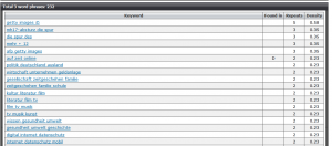 seo_quake_keyword_Density