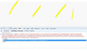 typo3_weisser_bildschirm_nach_login