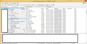 Magento Datenbank Dump erstellen