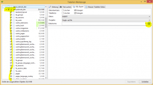 Magento Dump erstellen