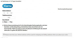 klarna-checkout issue-solved